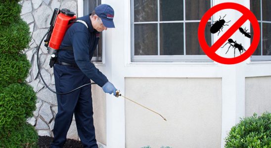 Viranşehir Dezenfeksiyon böcek ilaçlama ve haşere kontrolü — ilaclama-tr.com